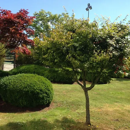 Oca Puerta Del Camino 4*