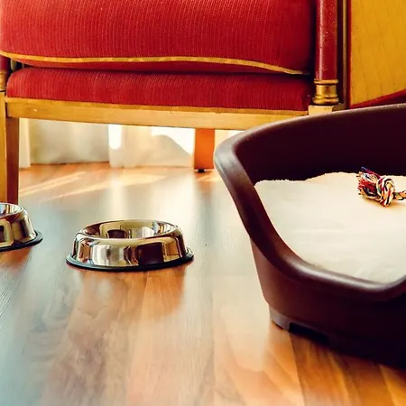 Oca Puerta Del Camino A Torre Branca